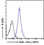 MPP5 Antibody in Flow Cytometry (Flow)