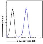 KPNA3 Antibody in Flow Cytometry (Flow)