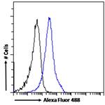 BAF53A/BAF53B Antibody in Flow Cytometry (Flow)