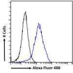 ACTR1A Antibody in Flow Cytometry (Flow)