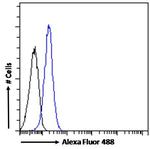 VAV3 Antibody in Flow Cytometry (Flow)