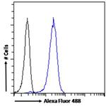 Acetylcholinesterase Antibody in Flow Cytometry (Flow)