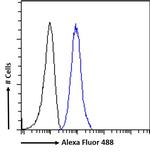 PLXND1 Antibody in Flow Cytometry (Flow)