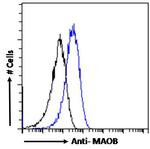 Monoamine Oxidase B Antibody in Flow Cytometry (Flow)