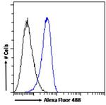 STAM2 Antibody in Flow Cytometry (Flow)