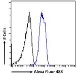 Chromogranin A Precursor Antibody in Flow Cytometry (Flow)