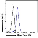 GRP94 Antibody in Flow Cytometry (Flow)