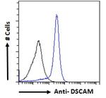 DSCAM Antibody in Flow Cytometry (Flow)