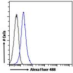 STAT3 Antibody in Flow Cytometry (Flow)