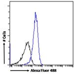 CD26 Antibody in Flow Cytometry (Flow)