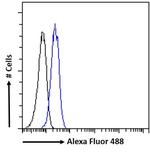 PINK1 Antibody in Flow Cytometry (Flow)