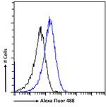 SAP97 Antibody in Flow Cytometry (Flow)