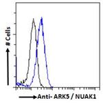 ARK5 Antibody in Flow Cytometry (Flow)
