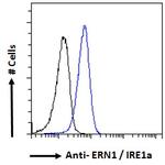 IRE1 alpha Antibody in Flow Cytometry (Flow)