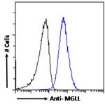 Monoacylglycerol Lipase Antibody in Flow Cytometry (Flow)