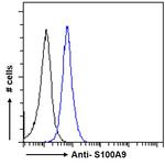 S100A9 Antibody in Flow Cytometry (Flow)