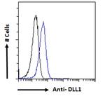 DLL1 Antibody in Flow Cytometry (Flow)