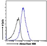 IL-18 Antibody in Flow Cytometry (Flow)