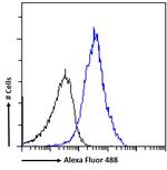 SATB1 Antibody in Flow Cytometry (Flow)