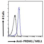 Blimp-1 Antibody in Flow Cytometry (Flow)