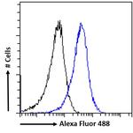 ACAT1 Antibody in Flow Cytometry (Flow)