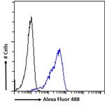 ARTS Antibody in Flow Cytometry (Flow)