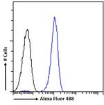 ARTS Antibody in Flow Cytometry (Flow)