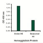 Avian Influenza HA Antibody in ELISA (ELISA)