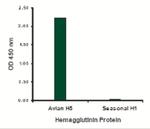 Avian Influenza HA Type 2 Antibody in ELISA (ELISA)