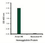 Avian Influenza HA Type 3 Antibody in ELISA (ELISA)