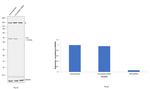 DPF2 Antibody in Western Blot (WB)