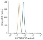 GRP78 Antibody in Flow Cytometry (Flow)