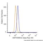 GRP78 Antibody in Flow Cytometry (Flow)