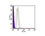 TLR1 Antibody in Flow Cytometry (Flow)