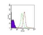 TLR1 Antibody in Flow Cytometry (Flow)