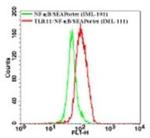 TLR11 Antibody in Flow Cytometry (Flow)