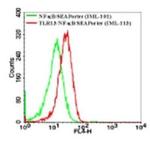 TLR13 Antibody in Flow Cytometry (Flow)