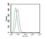 TLR4 Antibody in Flow Cytometry (Flow)