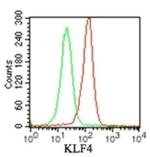 KLF4 Antibody in Flow Cytometry (Flow)