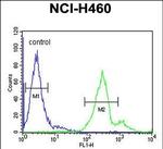 LAPTM5 Antibody in Flow Cytometry (Flow)