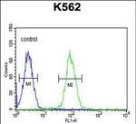 AKR1C3 Antibody in Flow Cytometry (Flow)