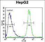 FBXO2 Antibody in Flow Cytometry (Flow)