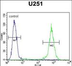 GGTLC2 Antibody in Flow Cytometry (Flow)