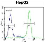 KIAA0090 Antibody in Flow Cytometry (Flow)