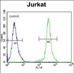 KLF14 Antibody in Flow Cytometry (Flow)