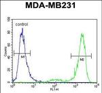 KCNT2 Antibody in Flow Cytometry (Flow)