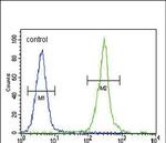 Claudin 16 Antibody in Flow Cytometry (Flow)