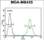 EXO5 Antibody in Flow Cytometry (Flow)