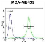 CCR8 Antibody in Flow Cytometry (Flow)