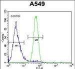 FSTL1 Antibody in Flow Cytometry (Flow)